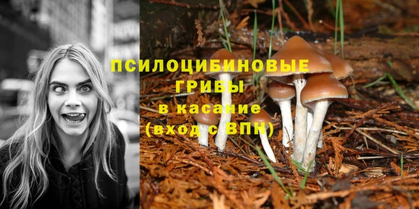 MESCALINE Слюдянка