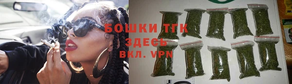 тгк Снежногорск