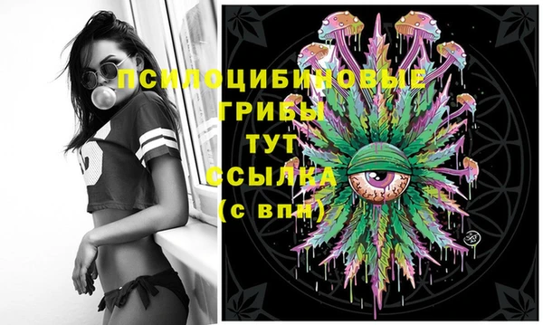 гашик Кирсанов