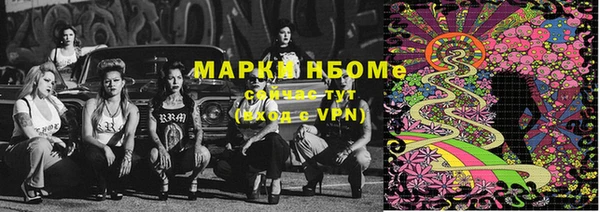 тгк Снежногорск