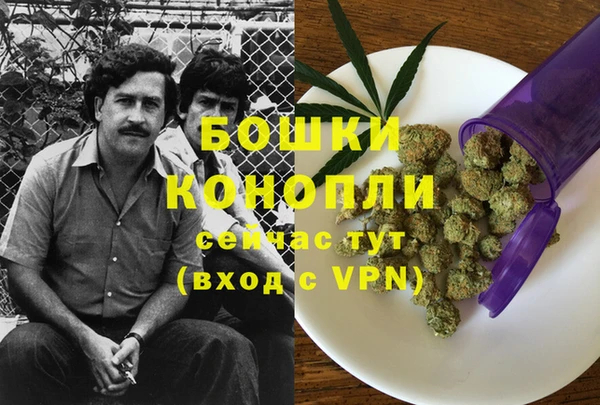 тгк Снежногорск