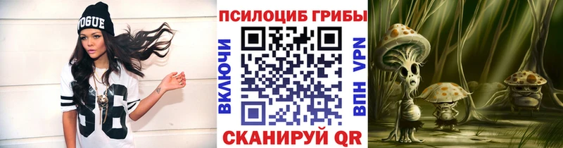 Псилоцибиновые грибы GOLDEN TEACHER Лебедянь