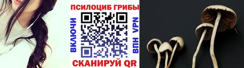 Купить  Лебедянь  Псилоцибиновые грибы GOLDEN TEACHER 